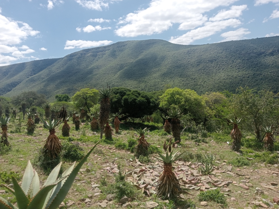 0 Bedroom Property for Sale in Stutterheim Rural Eastern Cape
